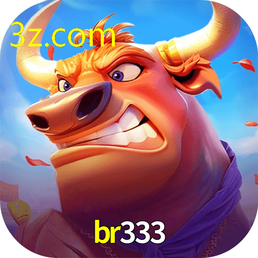 br333.com